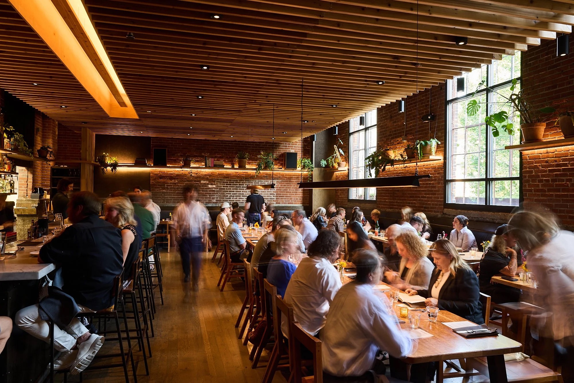 Fresh handmade pasta, Rolf and Daughters Nashville