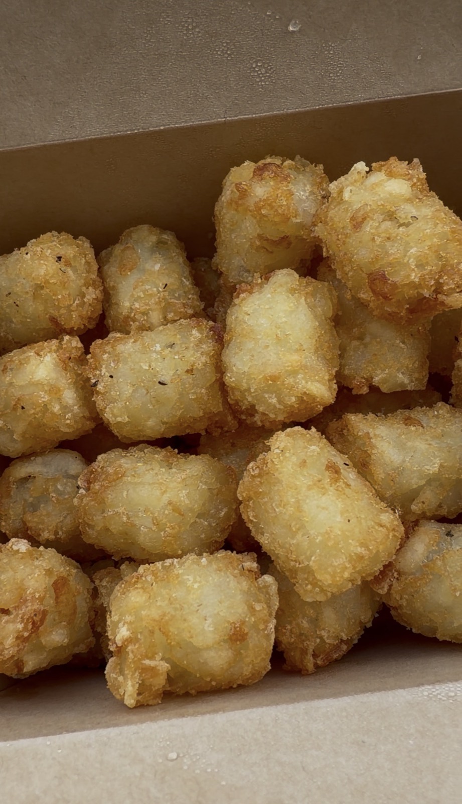 Sam's order: a box of crispy tater tots from Bad Luck Burger Club