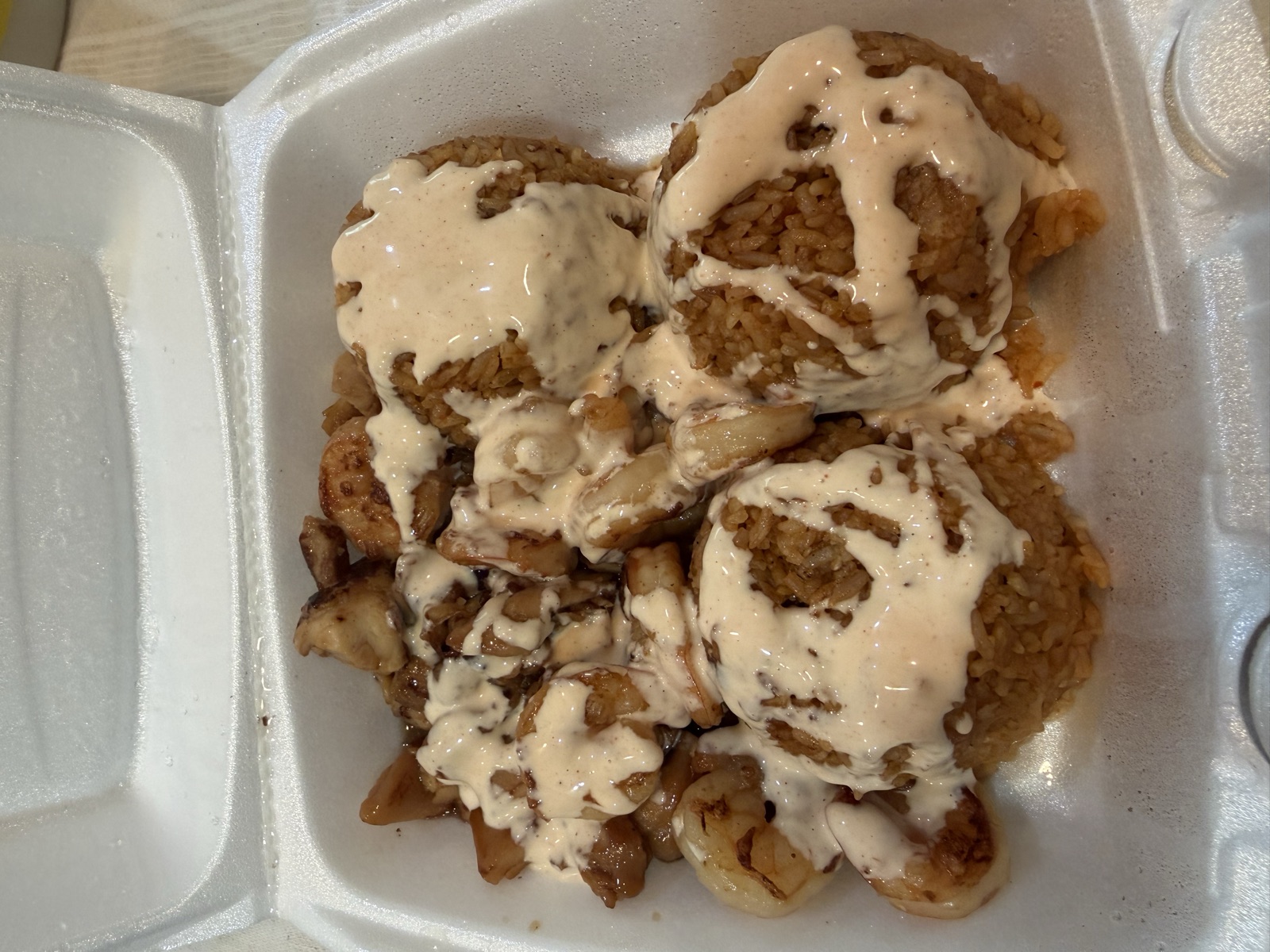 Chicken and Shrimp Hibachi Combo topped with sauce, Hibachi Jr.