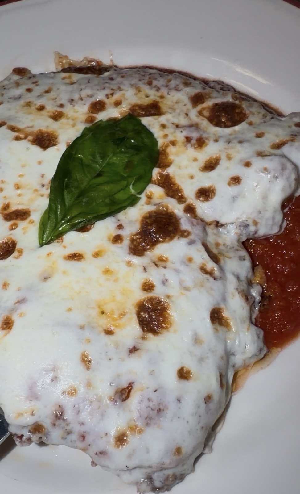 Sam's order: Chicken Parmigiana, Pelato